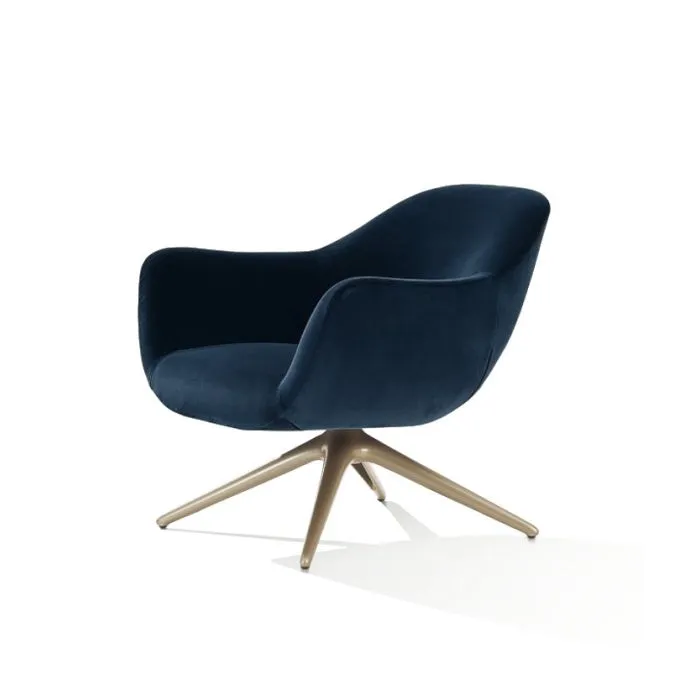 ciatdesign2274414