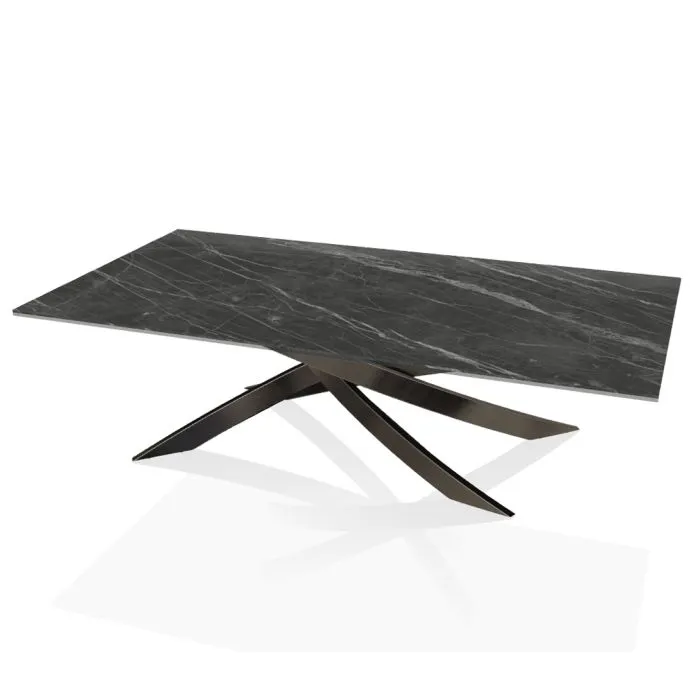 ciatdesign2322726