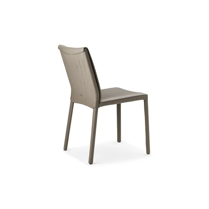 ciatdesign2328846