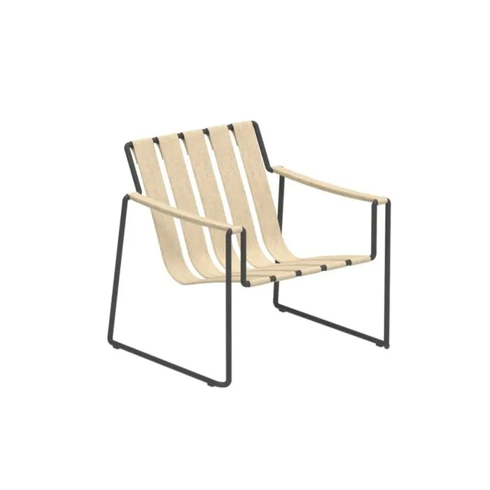 ciatdesign2389106