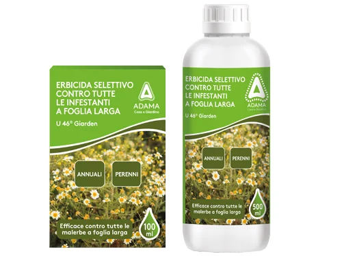 extrashopping2638560